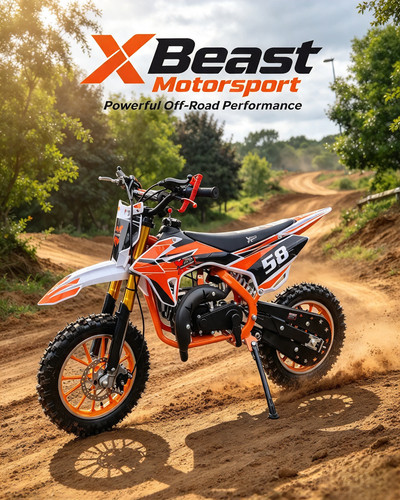 Beast motorsport 49cc petrol - x,